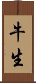 牛生 Scroll