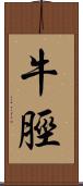 牛脛 Scroll