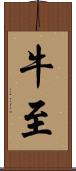 牛至 Scroll