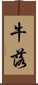牛落 Scroll