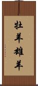 牡羊;雄羊 Scroll