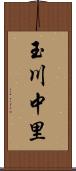 玉川中里 Scroll