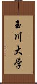 玉川大学 Scroll
