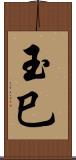玉巳 Scroll