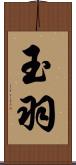 玉羽 Scroll