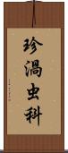 珍渦虫科 Scroll