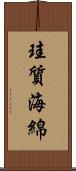 珪質海綿 Scroll