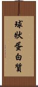球狀蛋白質 Scroll