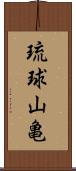 琉球山亀 Scroll