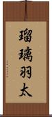 瑠璃羽太 Scroll