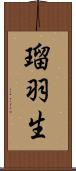 瑠羽生 Scroll