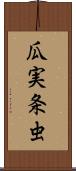 瓜実条虫 Scroll