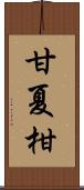 甘夏柑 Scroll