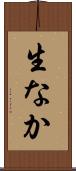 生なか Scroll