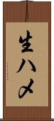 生ハメ Scroll