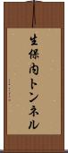 生保内トンネル Scroll