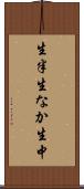 生半 Scroll