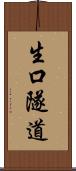 生口隧道 Scroll