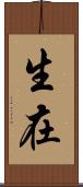 生在 Scroll