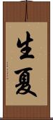 生夏 Scroll