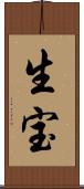 生宝 Scroll