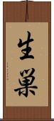 生巣 Scroll
