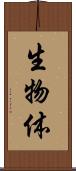 生物体 Scroll
