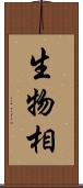 生物相 Scroll
