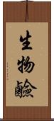 生物鹼 Scroll