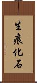 生痕化石 Scroll