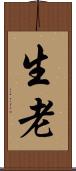 生老 Scroll