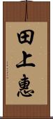 田上惠 Scroll