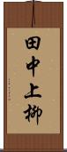 田中上柳 Scroll