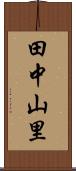 田中山里 Scroll