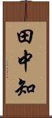 田中知 Scroll