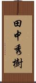 田中秀樹 Scroll
