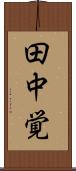 田中覚 Scroll