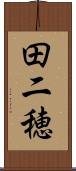 田二穂 Scroll