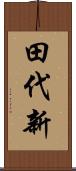 田代新 Scroll