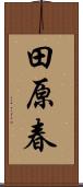 田原春 Scroll
