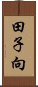 田子向 Scroll