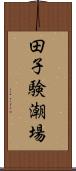 田子験潮場 Scroll