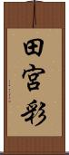 田宮彩 Scroll