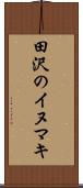 田沢のイヌマキ Scroll