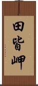 田皆岬 Scroll