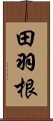 田羽根 Scroll