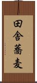 田舎蕎麦 Scroll