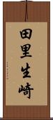 田里生崎 Scroll