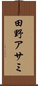 田野アサミ Scroll