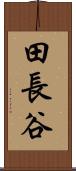 田長谷 Scroll
